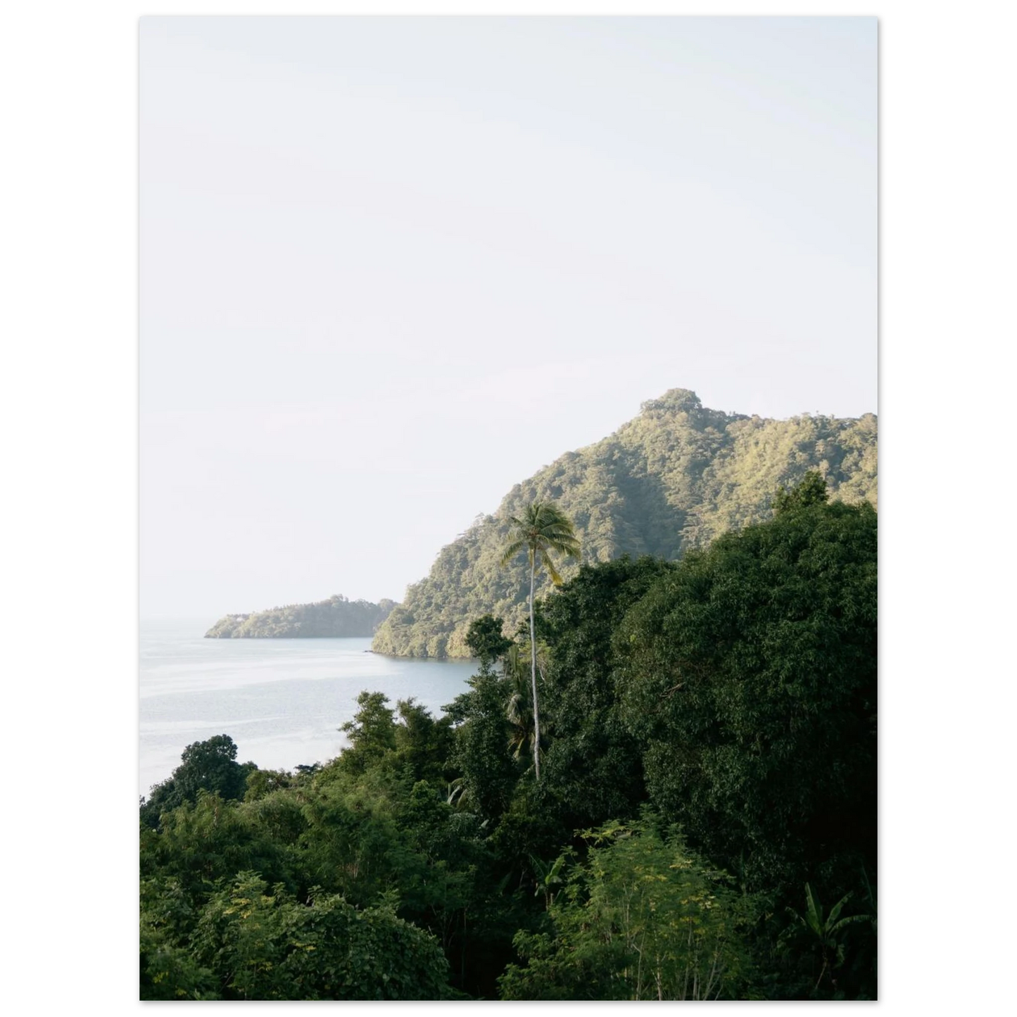 02e9607a-b625-4f6a-bf19-cdb0fabd66e4