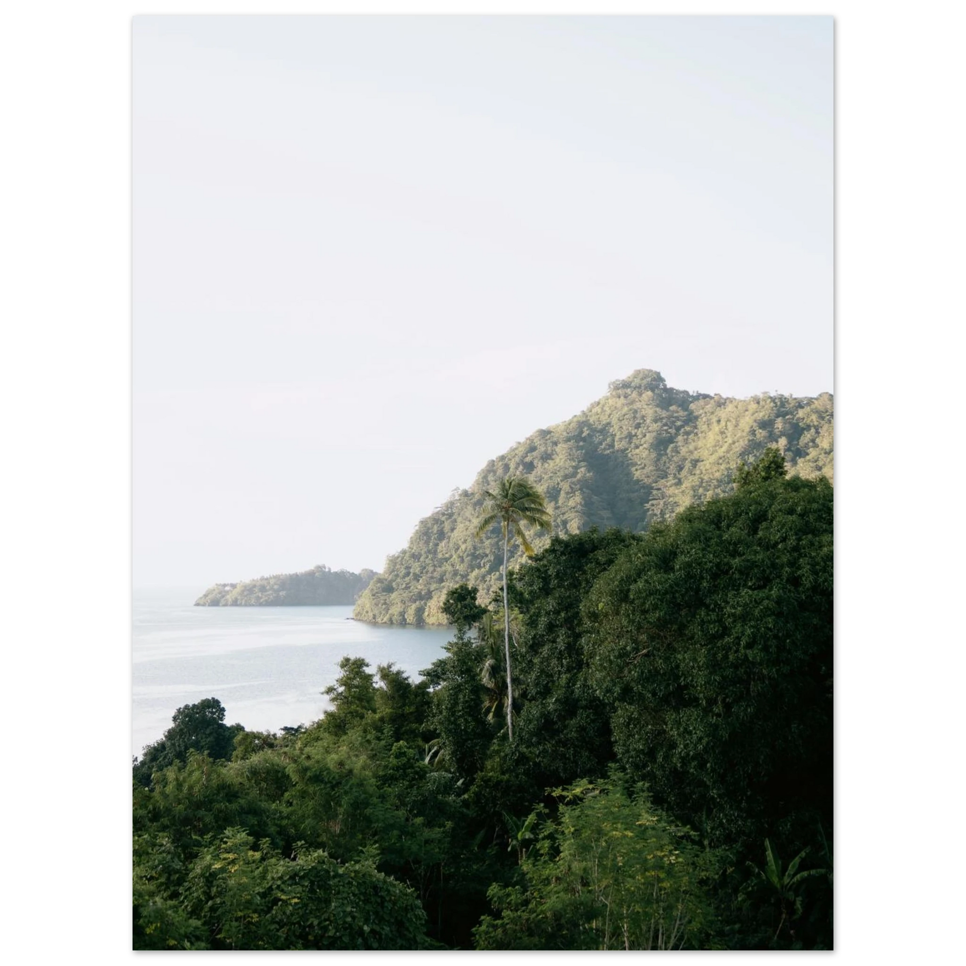 02e9607a-b625-4f6a-bf19-cdb0fabd66e4