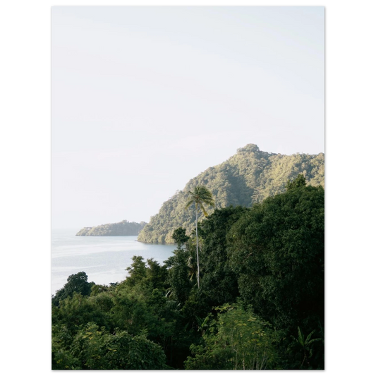 02e9607a-b625-4f6a-bf19-cdb0fabd66e4