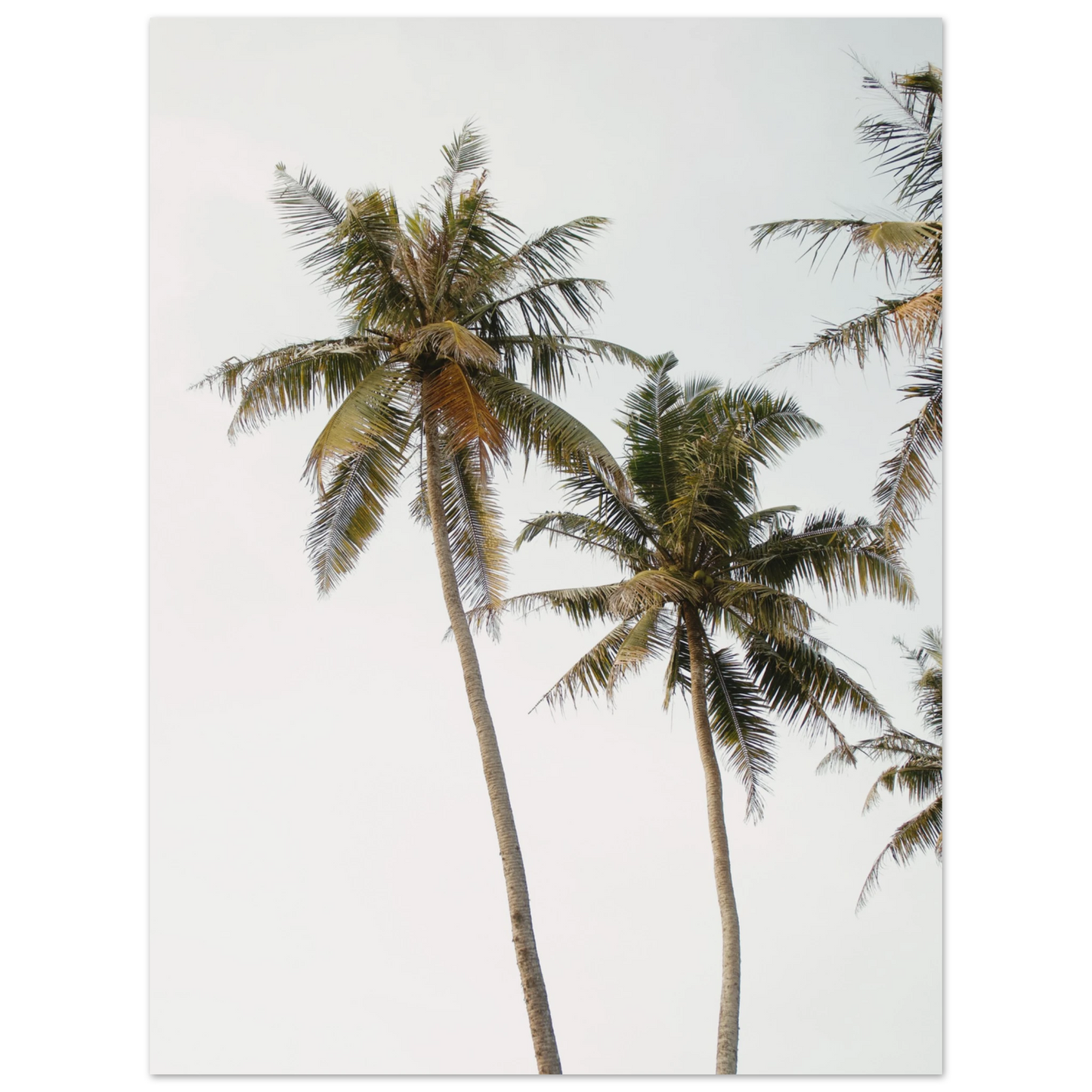 0a25dc07-c3f0-4616-8221-2a58c34892a2