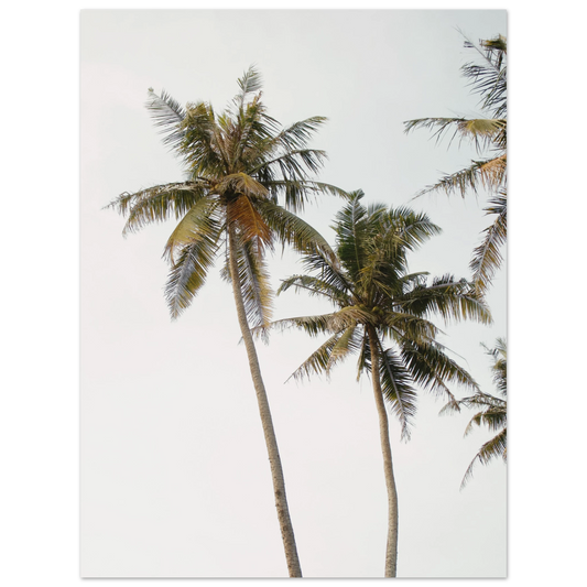 0a25dc07-c3f0-4616-8221-2a58c34892a2