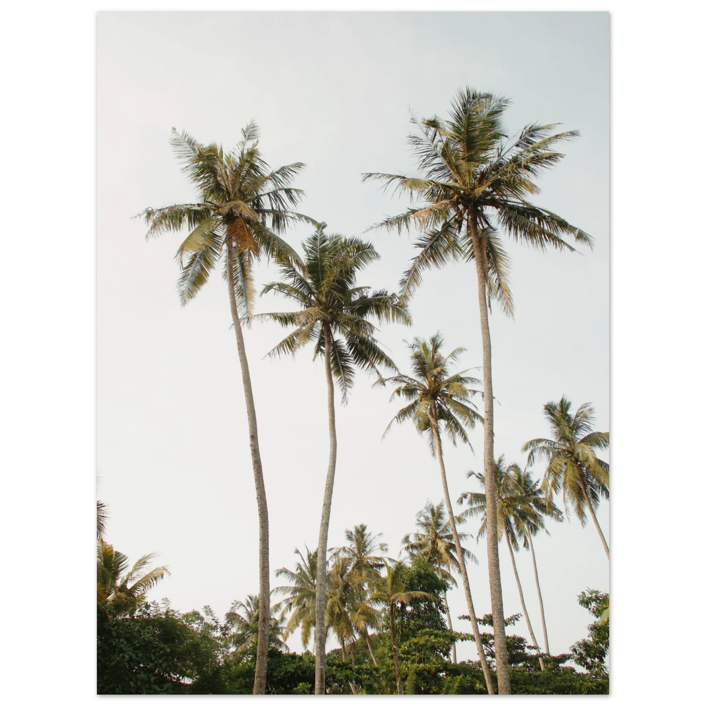 319e2951-3b3c-4002-8016-5db6600a39f5