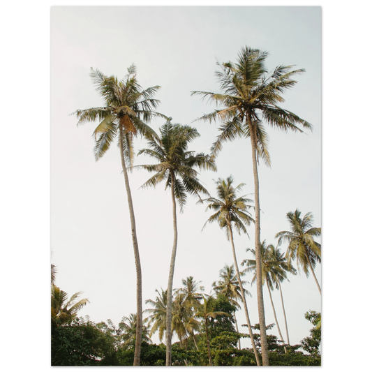 319e2951-3b3c-4002-8016-5db6600a39f5