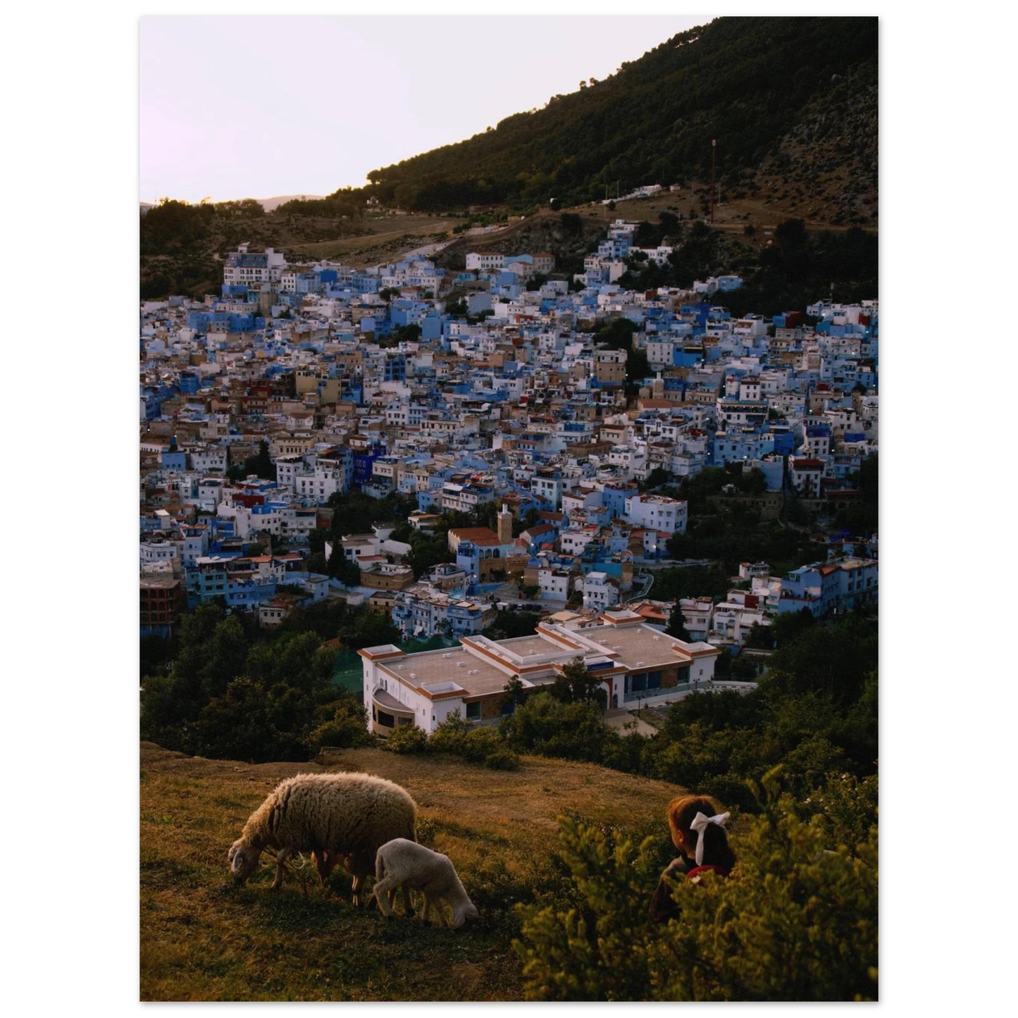 75b8bd40-72e7-488b-9c28-8f607a31e7c8