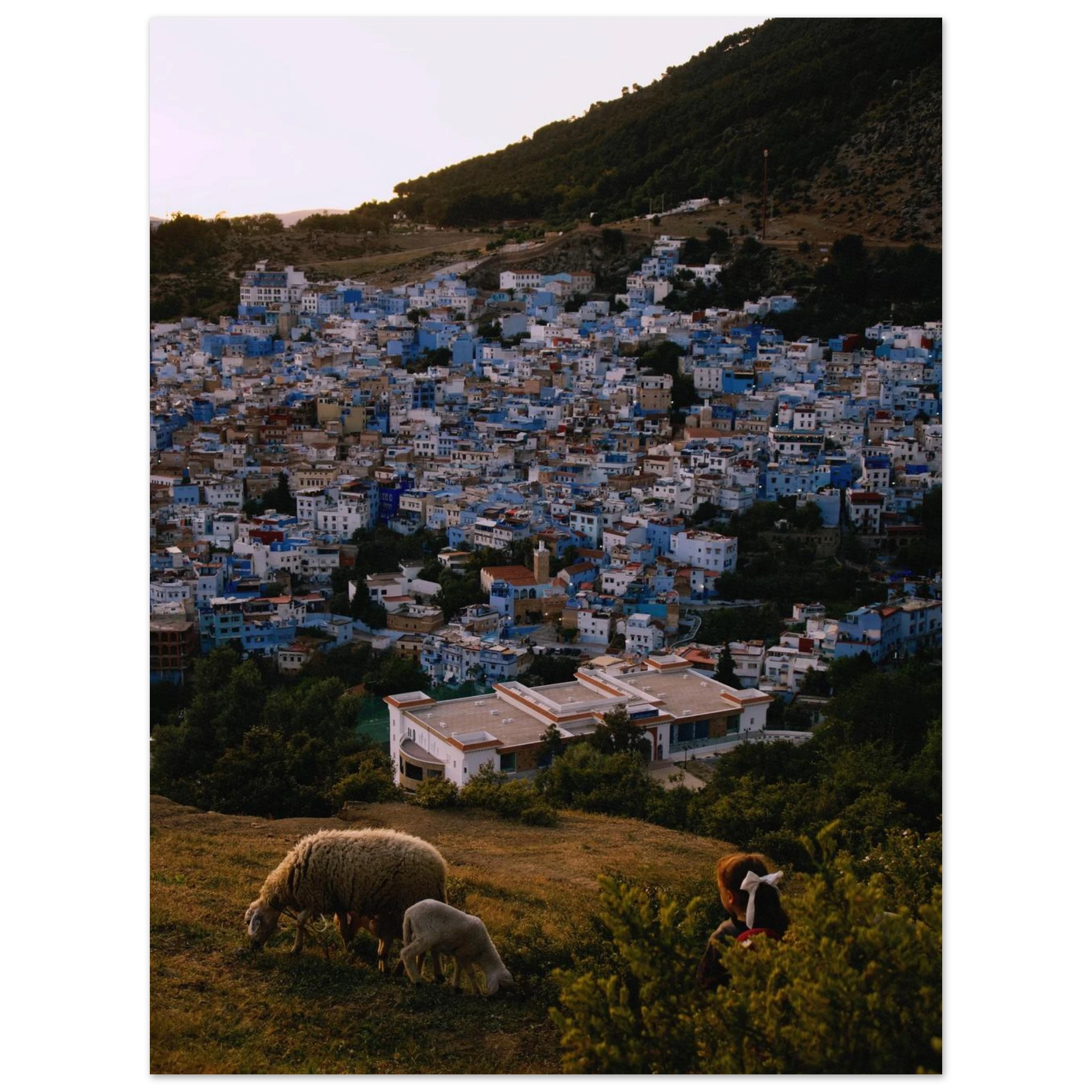 75b8bd40-72e7-488b-9c28-8f607a31e7c8