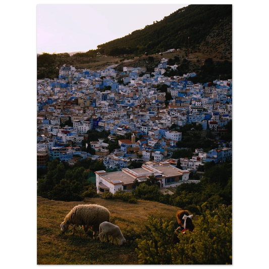 75b8bd40-72e7-488b-9c28-8f607a31e7c8