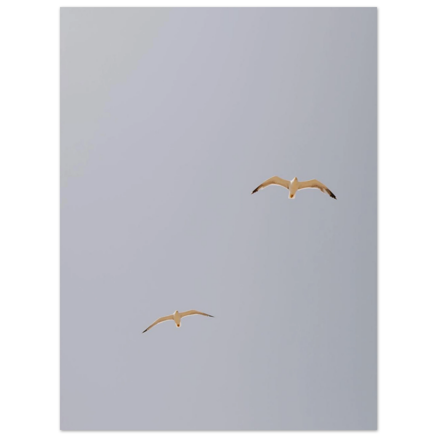 b29175eb-2239-4e6a-bdd8-db061d8fac0a