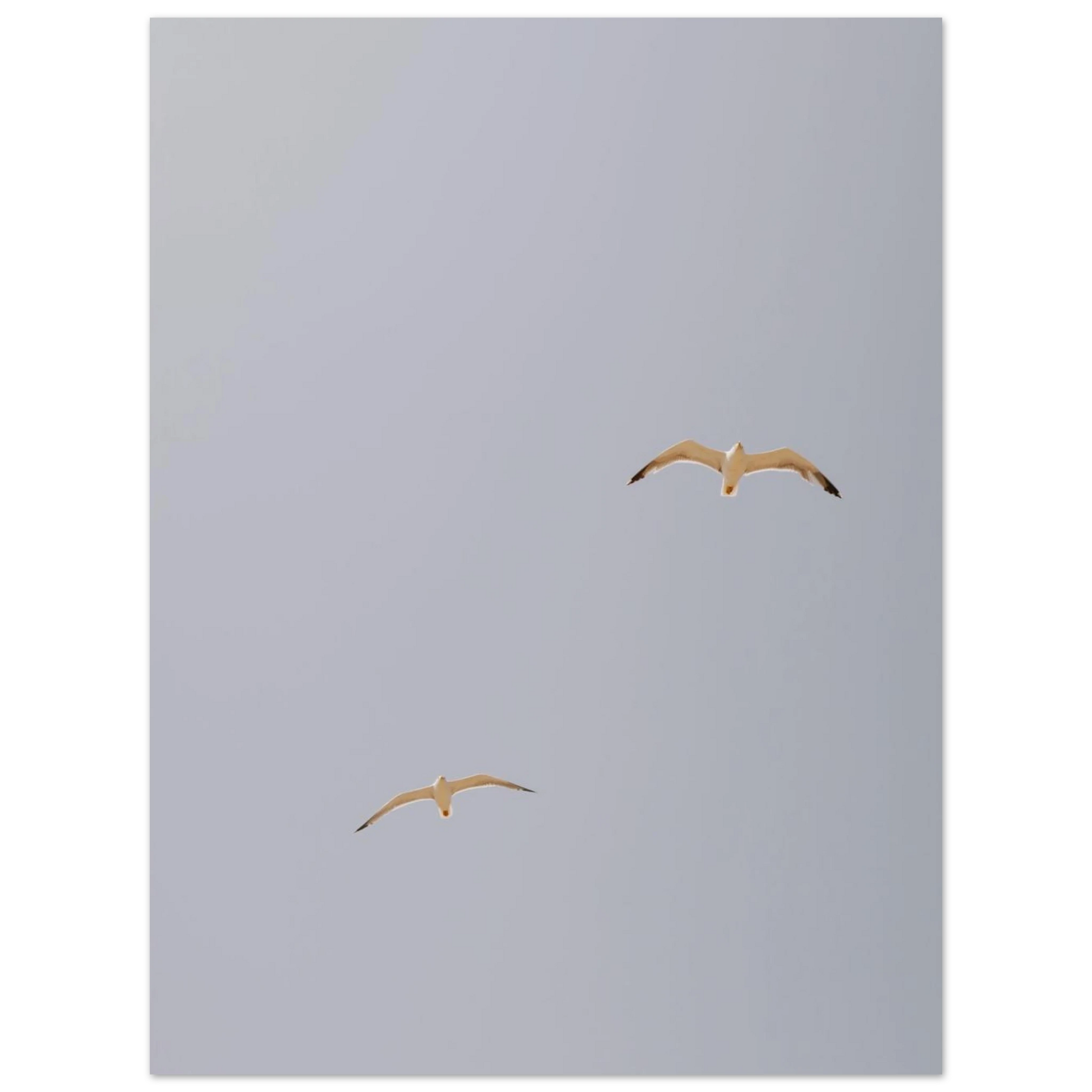 b29175eb-2239-4e6a-bdd8-db061d8fac0a