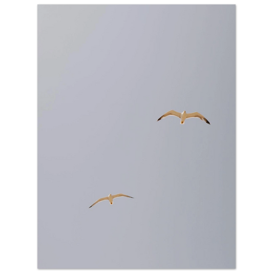 b29175eb-2239-4e6a-bdd8-db061d8fac0a