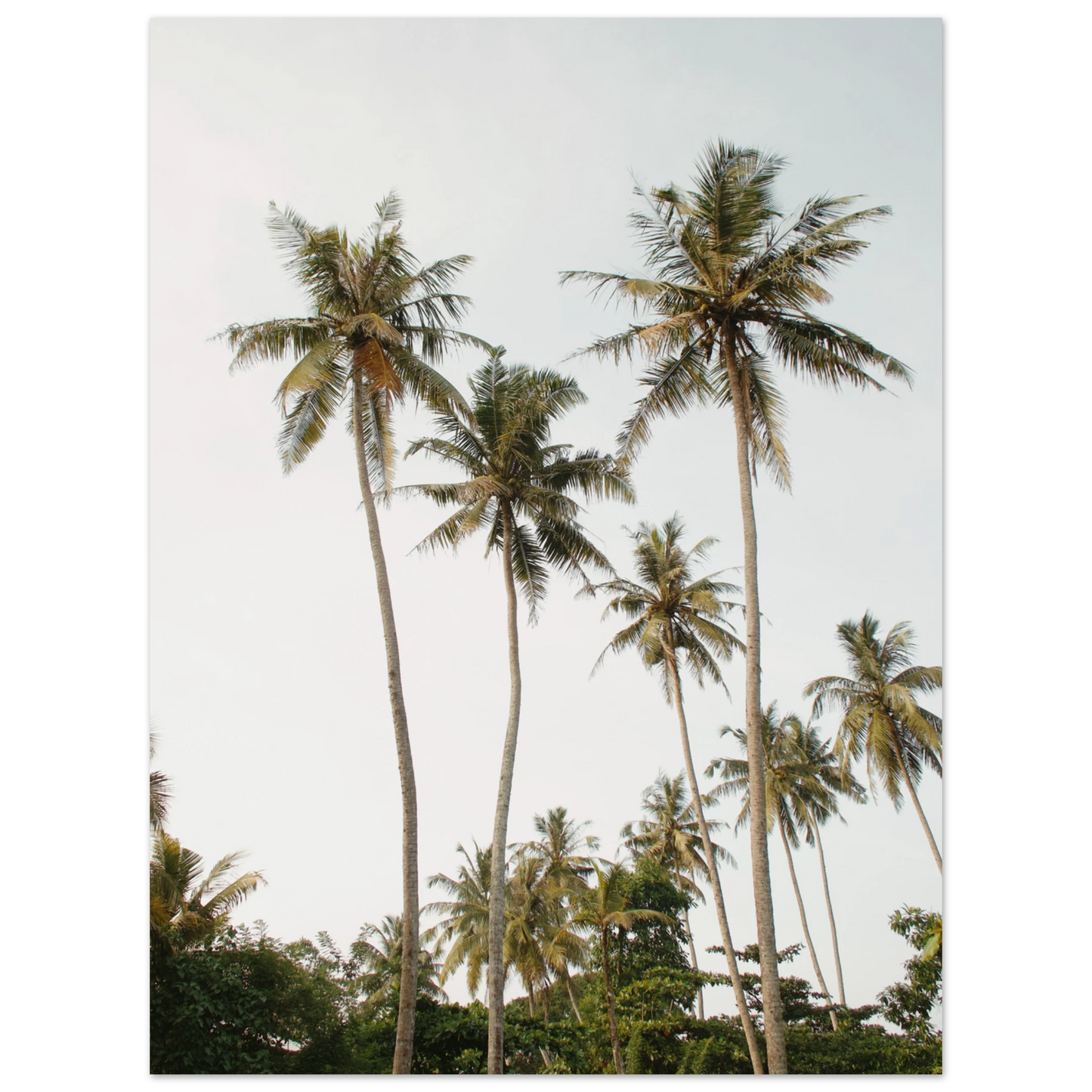 c56ac1b6-f61a-4421-b465-337a60653b55