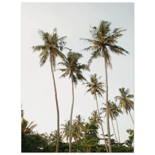 c56ac1b6-f61a-4421-b465-337a60653b55