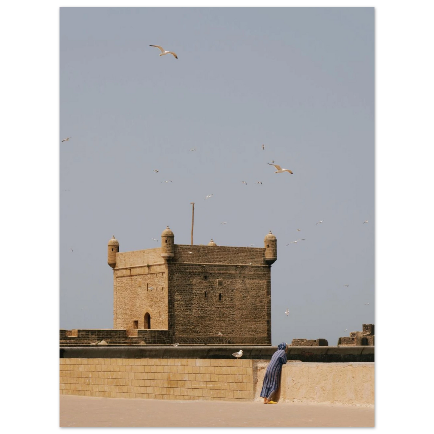 d6b9c0f3-c073-4314-81a1-fb4d9bb00fd3